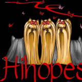 Hihopes Yorkshire  Terriers